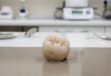 A close-up, photorealistic image of a single, perfectly crafted ceramic dental implant crown sitting in a clean, modern, and brightly lit setting. The focus is sharp on the crown, revealing its natural texture and color, while the background is softly blurred.